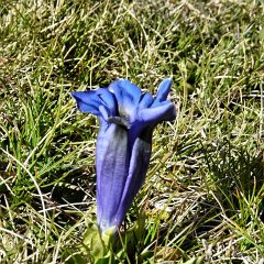 P1030413 (Copier)